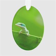 Anole Ornament