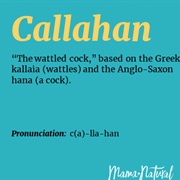 Callahan