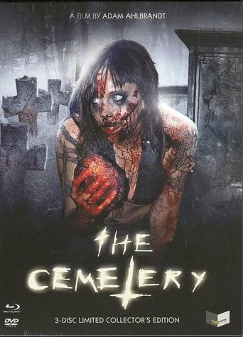 The Cemetery (2013)