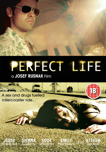 Perfect Life (2010)