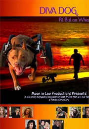 Diva Dog: Pit Bull on Wheels (2005)