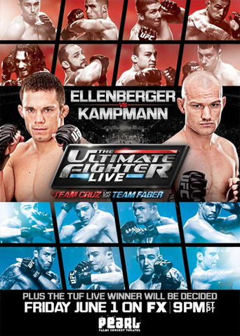 The Ultimate Fighter 15 Finale (2012)