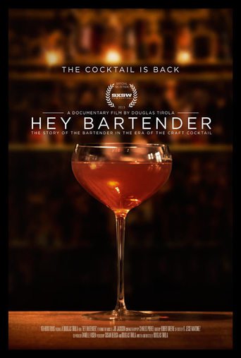 Hey Bartender (2013)