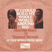 If I Could Build My Whole World Around You - Marvin Gaye &amp; Tammi Terrell