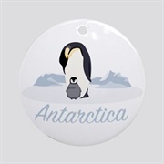 Antarctica Ornament