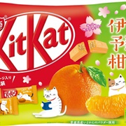 Kit Kat Iyokan Orange