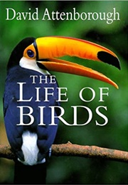 The Life of Birds (1998)