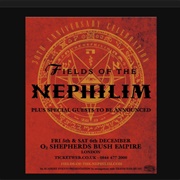 Fields of the Nephilim - Endemoniada