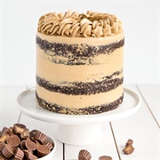 Chocolate Peanut Butter Cake