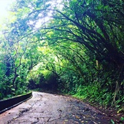 Hawaii: Pali Highway