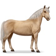 Palomino