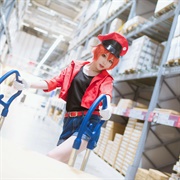 Cells at Work Costume