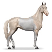 Cremello Tobiano