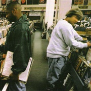 DJ Shadow- Organ Donor