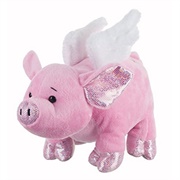 Flutter Pig