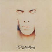 The Sweetest Drop - Peter Murphy