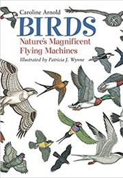 Birds: Nature&#39;s Magnificent Flying Machines (Arnold, Caroline)