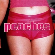 Peaches - The Teaches of Peaches