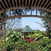 South Coast Botanic Garden