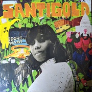 Run the Road - Santigold