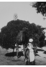 Le Caire, Sortie Du Pont De Kasr-El-Nil (Chameaux) (1897)