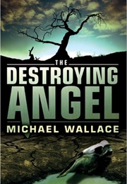 Destroying Angel (Righteous, #5) (Michael Wallace)