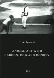 Animal Act With Baboon, Dog and Donkey (1919)