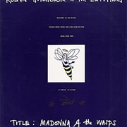 Madonna of the Wasps - Robyn Hitchcock &amp; the Egyptians