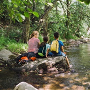 Teach Children to Respect Nature