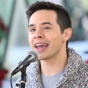 David Archuleta (Asexual/Bisexual, He/Him)