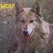 Darryl Way&#39;s Wolf - Canis Lupis