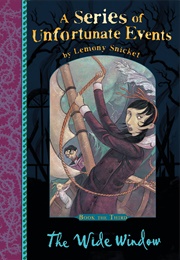 The Wide Window (Lemony Snicket)