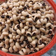 Boiled Black-Eyed Peas