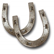 Horseshoes