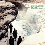 Echo &amp; the Bunnymen- The Cutter