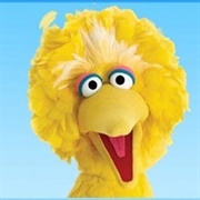 Big Bird