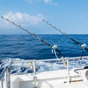 Sea Fishing