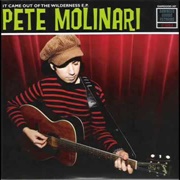 I Don&#39;t Like the Man I Am - Pete Molinari