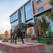 Dixie State University