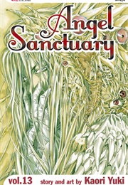 Angel Sanctuary Volume 13 (Kaori Yuki)