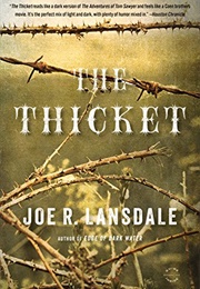 The Thicket (Joe R. Lansdale)