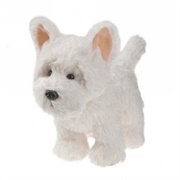 West Highland Terrier