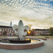 University of Louisiana at Lafayette