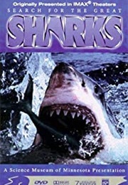 Search for the Great Sharks: IMAX (1995)