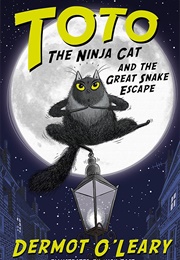 Toto the Ninja Cat (Dermot O&#39;leary)