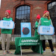 Join a Greenpeace Local Group (Or Similar)