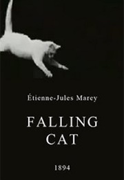 Falling Cat (1894)