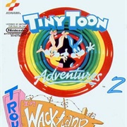 Tiny Toons Adventures 2