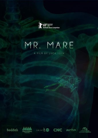 Mr. Mare (2019)