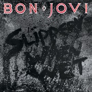 You Give Love a Bad Name (Bon Jovi)